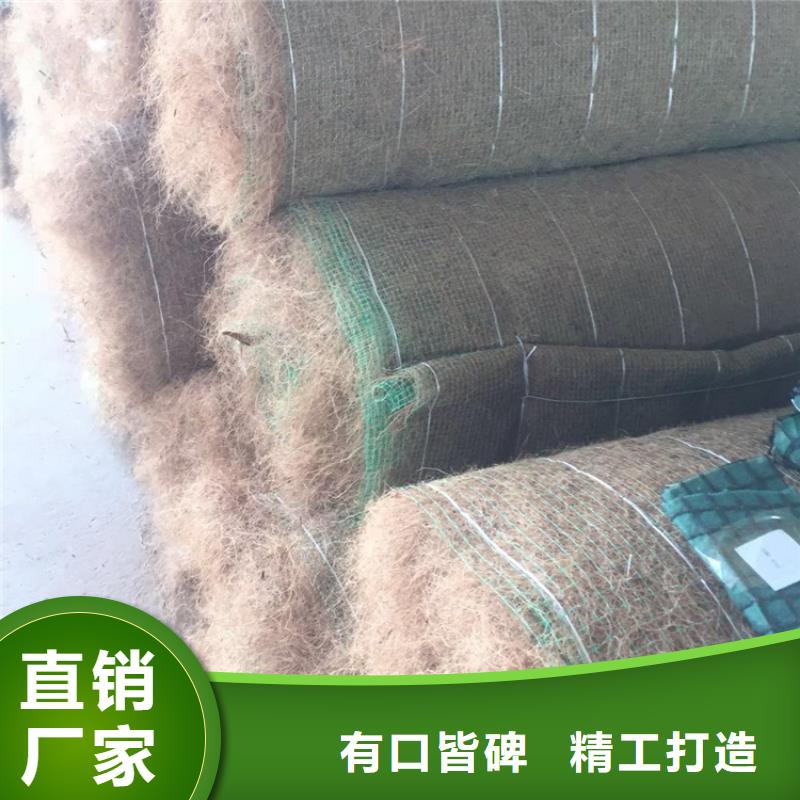 江门购买椰丝毯-加筋植生毯-环保植物毯
