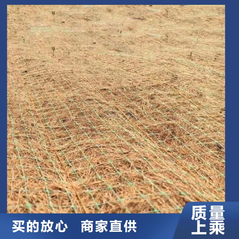 抗冲生物毯-加筋复合抗冲生态毯-公路植生毯