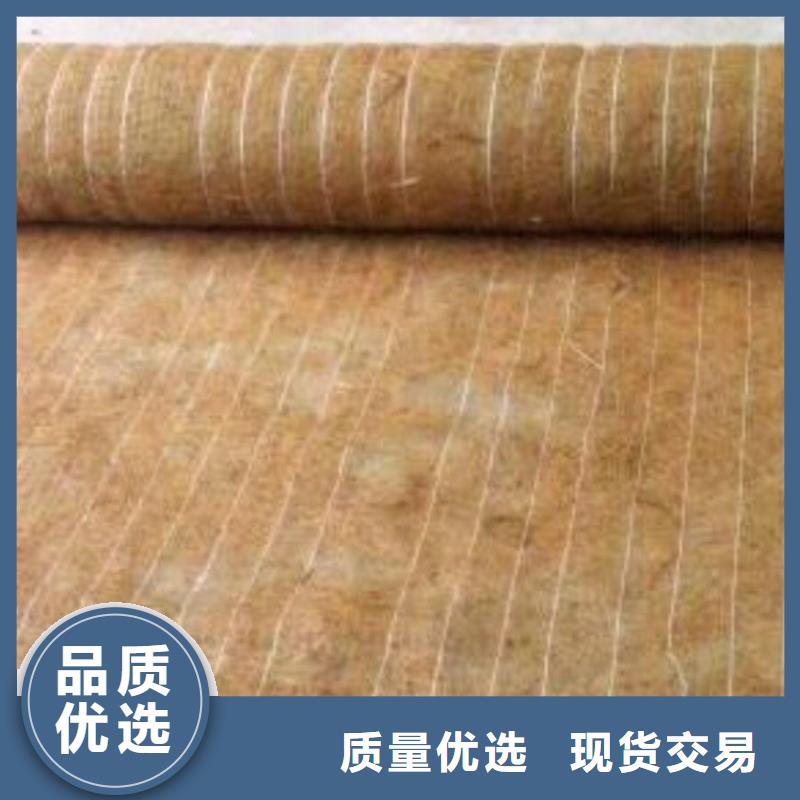 潮州采购加筋抗冲生物毯市场经销