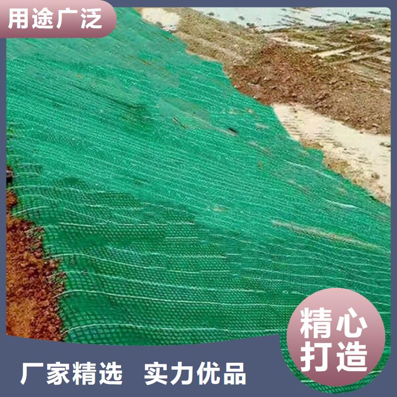 衢州采购椰丝植生毯-纤维毯植草-抗冲毯