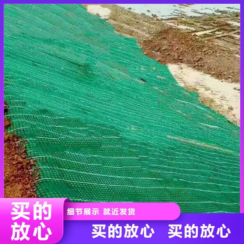 加筋抗冲生物毯-水保植生毯-麻椰固土垫