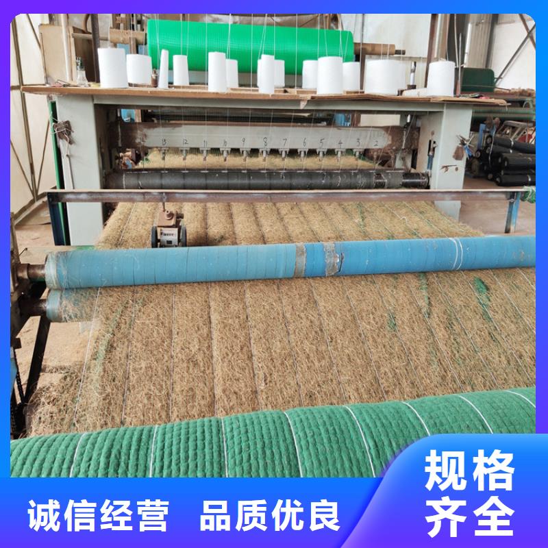 广安生产椰纤植生毯 经销代理/哪里有卖的