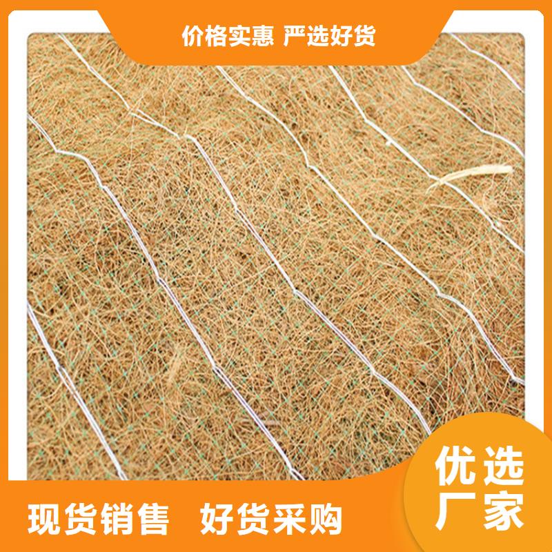 梅州购买椰丝植生毯-环保植生绿化毯-护坡草毯