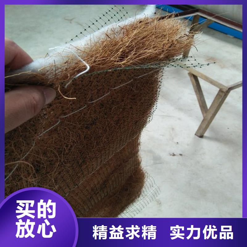 庆阳订购椰纤植生毯 加筋抗冲生态毯为您服务