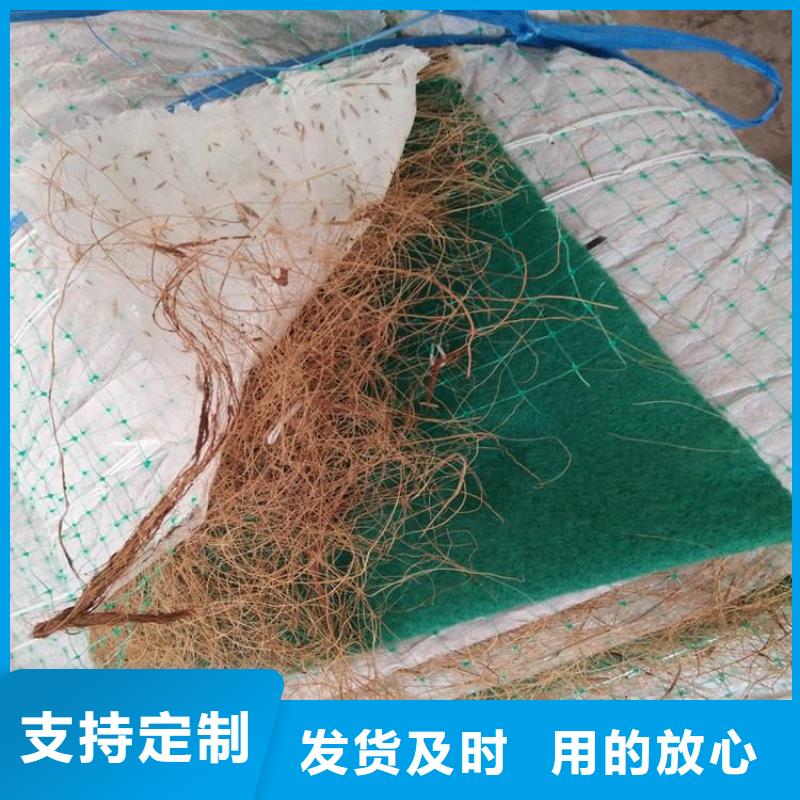 广西定做加筋植物纤维毯-椰丝植草毯-椰纤植生毯