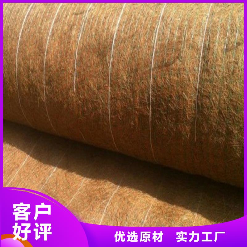 桂林咨询加筋抗冲生物毯-椰纤维毯