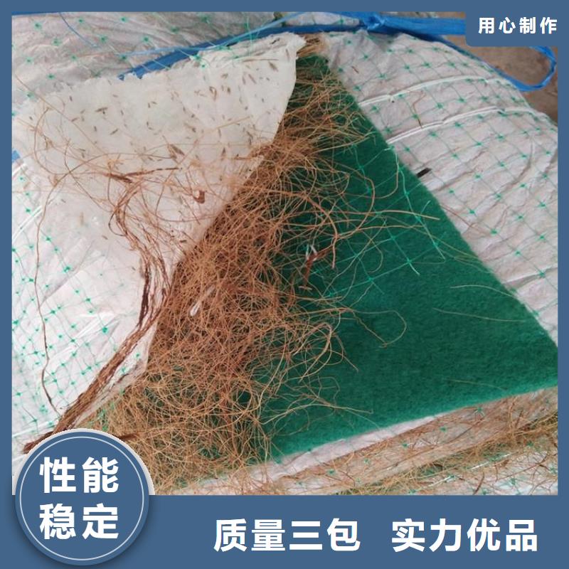 植物纤维毯加筋抗冲生物毯