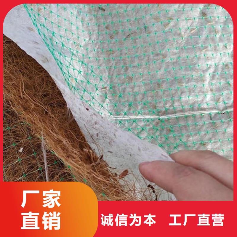 黔西南选购椰丝植生毯-护坡生态毯