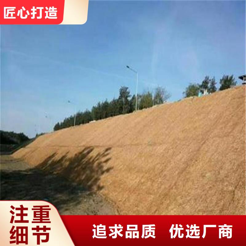 加筋植物纤维毯-公路植生毯-加筋复合抗冲生态毯