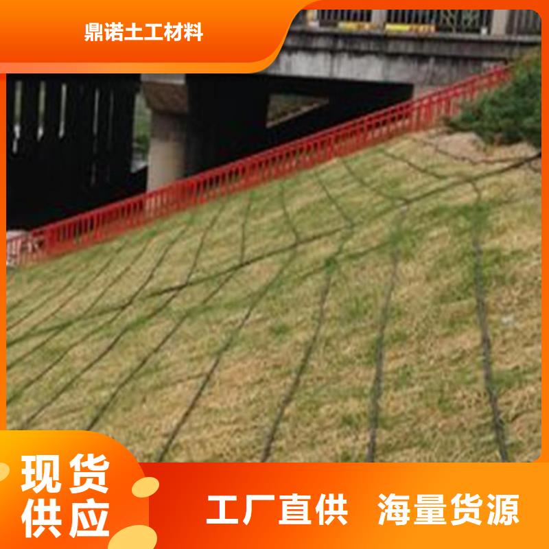 西安选购椰丝毯-带草籽环保草毯-护坡草毯