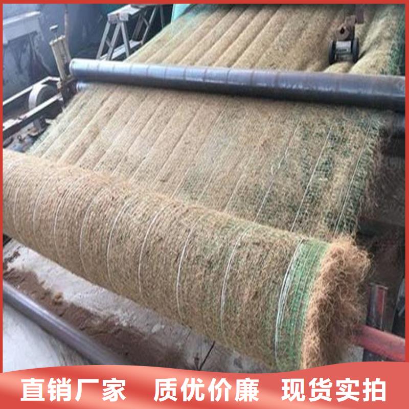 韶关生产椰纤植生毯 加筋抗冲生物毯性能克重