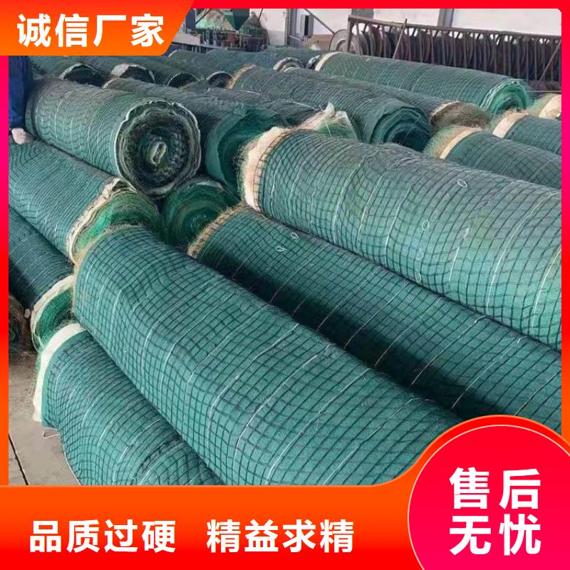 晋城生产加筋抗冲生物毯-河道护坡椰丝毯-加筋生态毯
