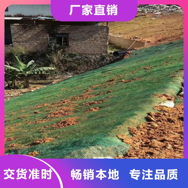 【梅州】直销加筋抗冲生物毯-加筋复合生态草毯-植被纤维毯