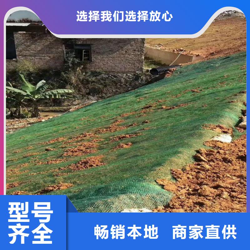 椰纤植生毯加筋抗冲生态毯值得信赖