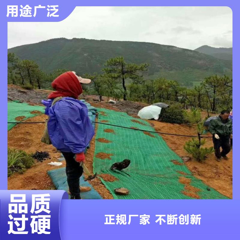 加筋抗冲生物毯-稻草植生毯