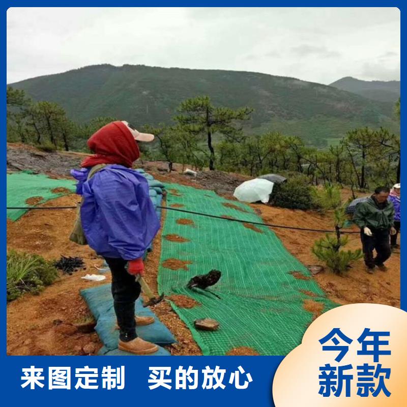 杭州品质加筋抗冲生物毯