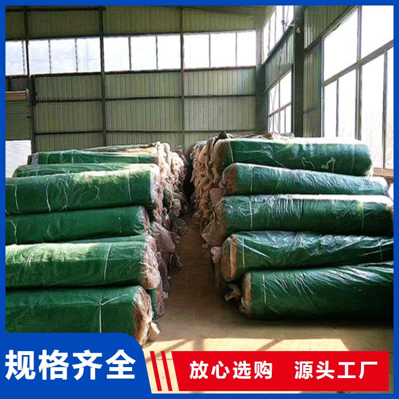 衢州订购椰丝植生毯-护坡生态毯-加筋复合植生毯