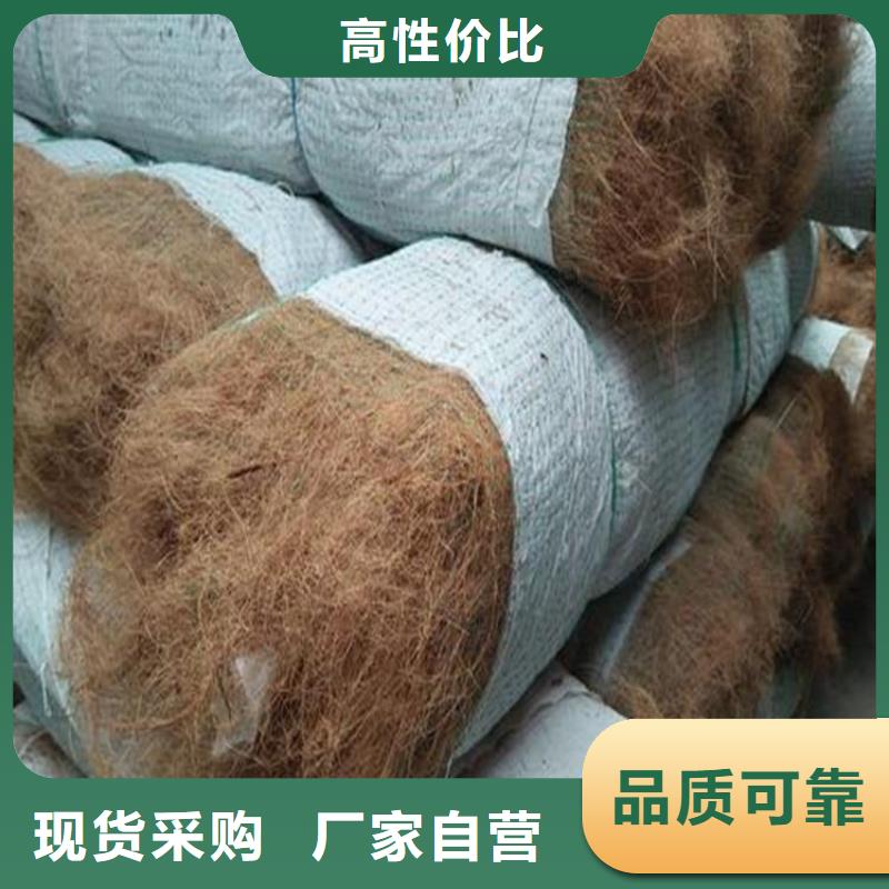 泰州订购椰丝植生毯-护坡椰丝毯-纤维植被垫