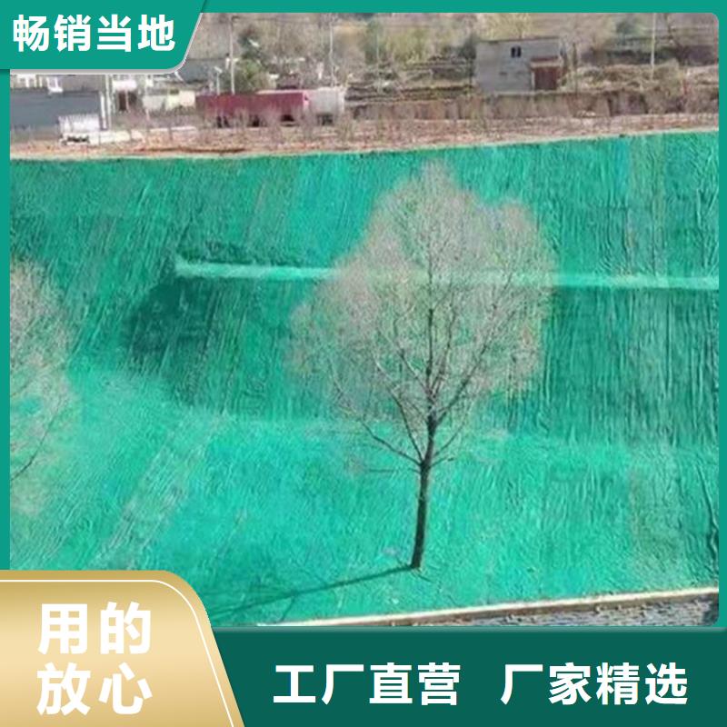 植生椰丝毯加筋抗冲生物毯全国走货