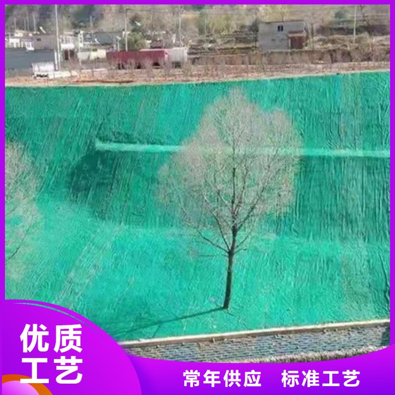 九江买抗冲生物毯-护坡椰丝毯-绿化植生毯