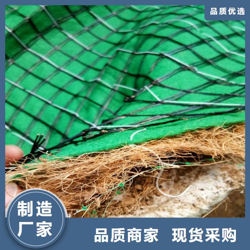 植生椰丝毯加筋抗冲生物毯