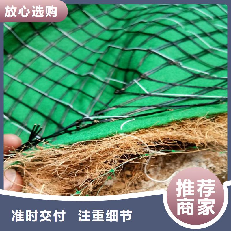 海东找环保植生绿化毯-秸秆纤维生态毯