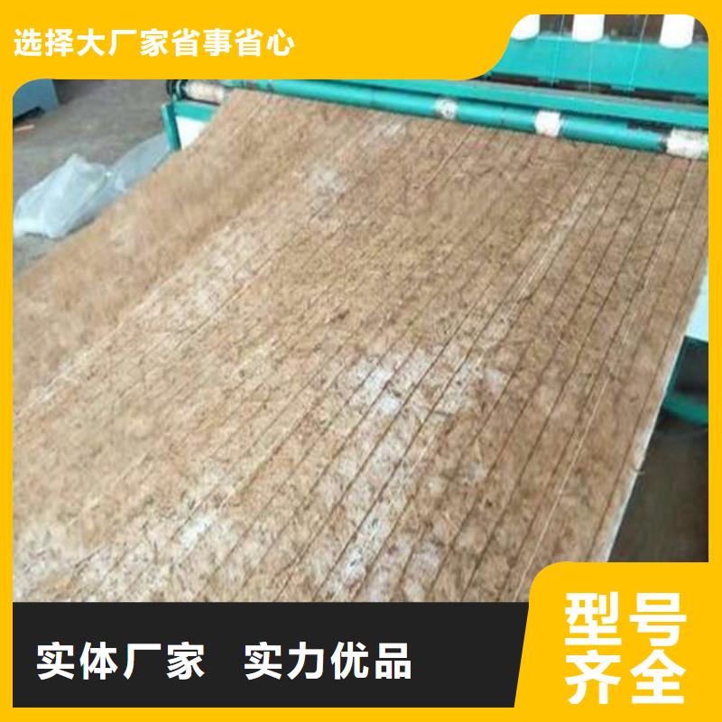 青海销售椰纤植生毯 -椰丝环保草毯