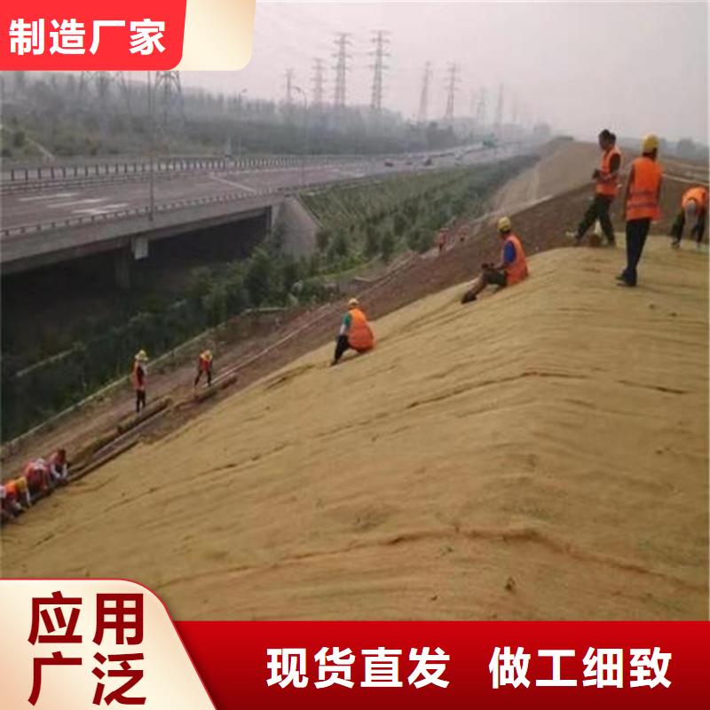 抗冲生物毯-加筋复合椰丝毯-公路植生毯