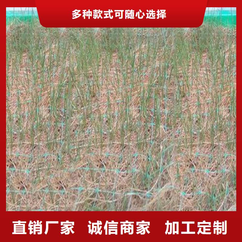 丽江周边加筋抗冲生物毯-植生椰丝毯厂家-公司