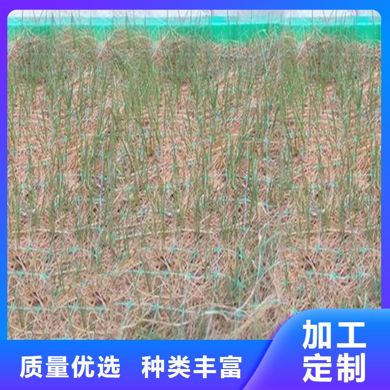 植物生态防护毯加筋抗冲生态毯动态