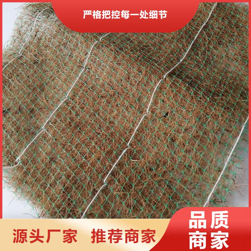 青岛采购椰丝毯-椰丝植被毯-水保植生毯
