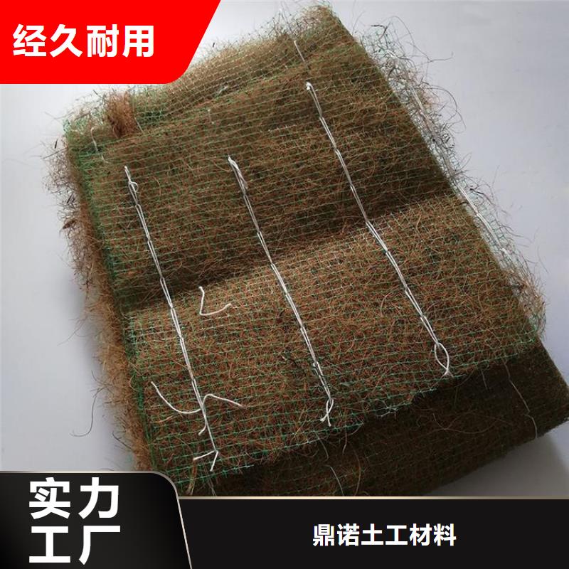 宜宾询价加筋植物纤维毯-护坡植生毯-草种抗冲生物毯