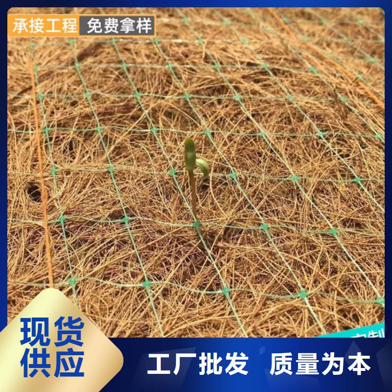 加筋抗冲生物毯-植生椰丝毯厂家/多少钱一平