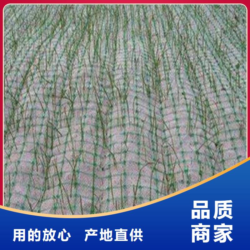 《眉山》本土椰丝植物纤维毯-河道护坡植生毯-草种植物纤维毯