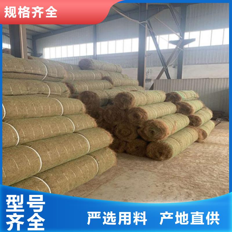 【大连】定制椰丝植物纤维毯-PP加筋椰丝毯-生态草毯