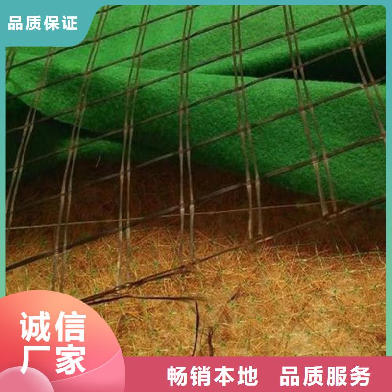 济宁定制椰丝植生毯-秸秆植物纤维毯-抗冲植物毯