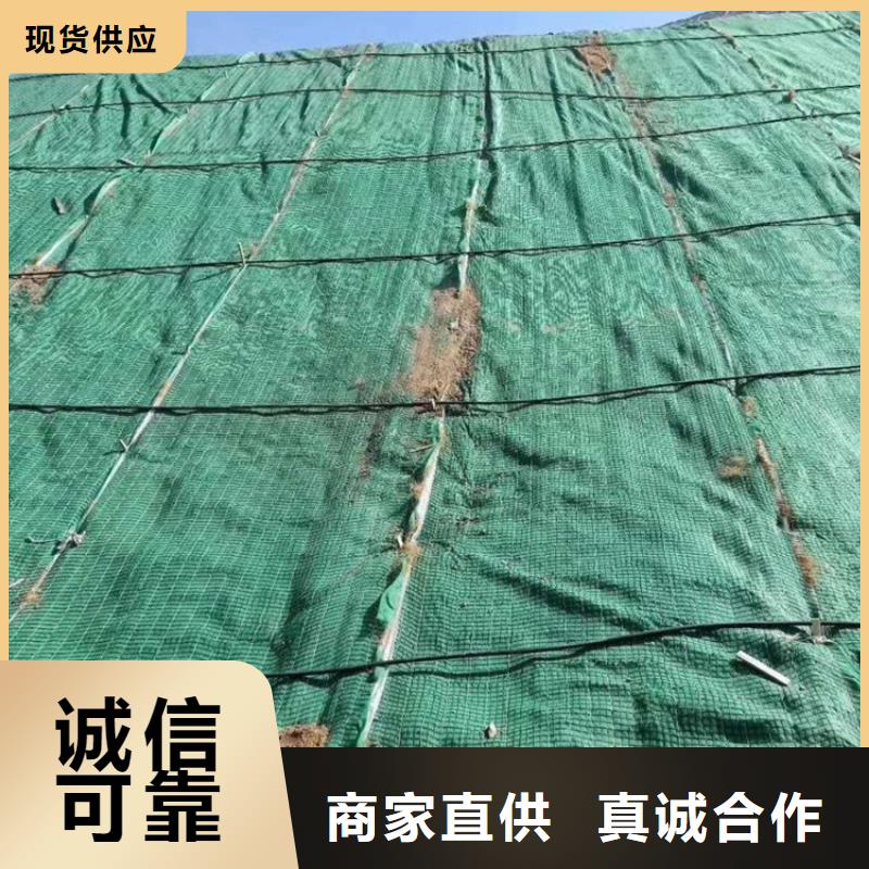 植生椰丝毯加筋抗冲生态毯型号结构