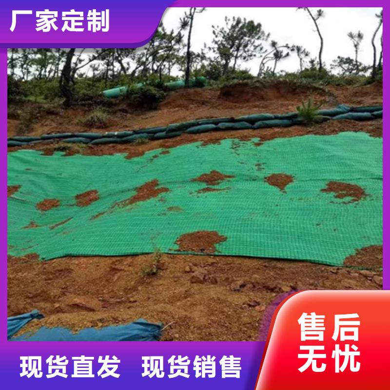 《平凉》优选椰纤植生毯 -护坡绿化植草毯