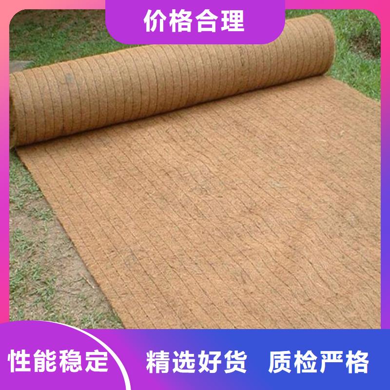 黔西南选购椰丝植生毯-护坡生态毯