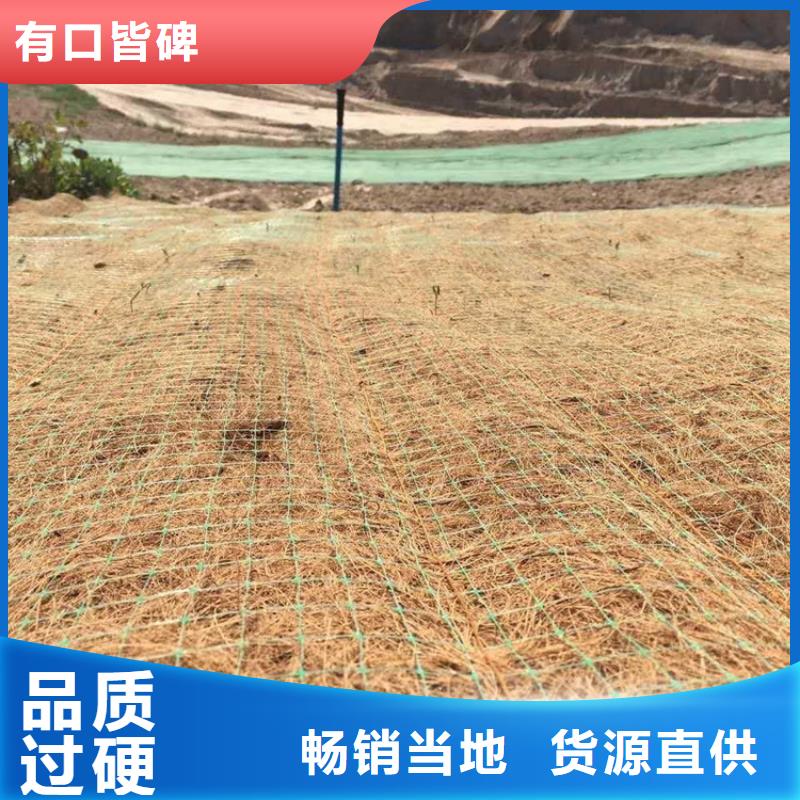 丽江直销护坡植被植草毯公司批发