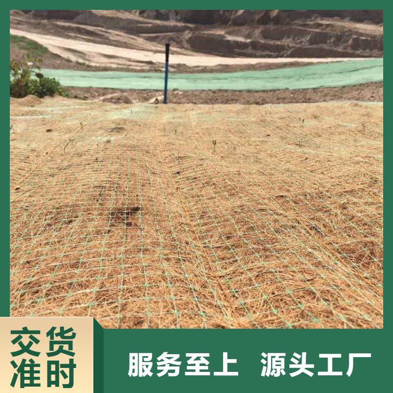 绵阳该地椰丝毯-生态植被毯-护坡植物纤维毯