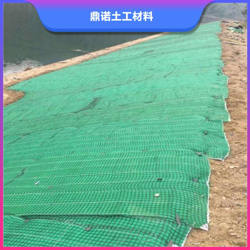 湘潭定做加筋抗冲生态毯-植生毯土工格栅