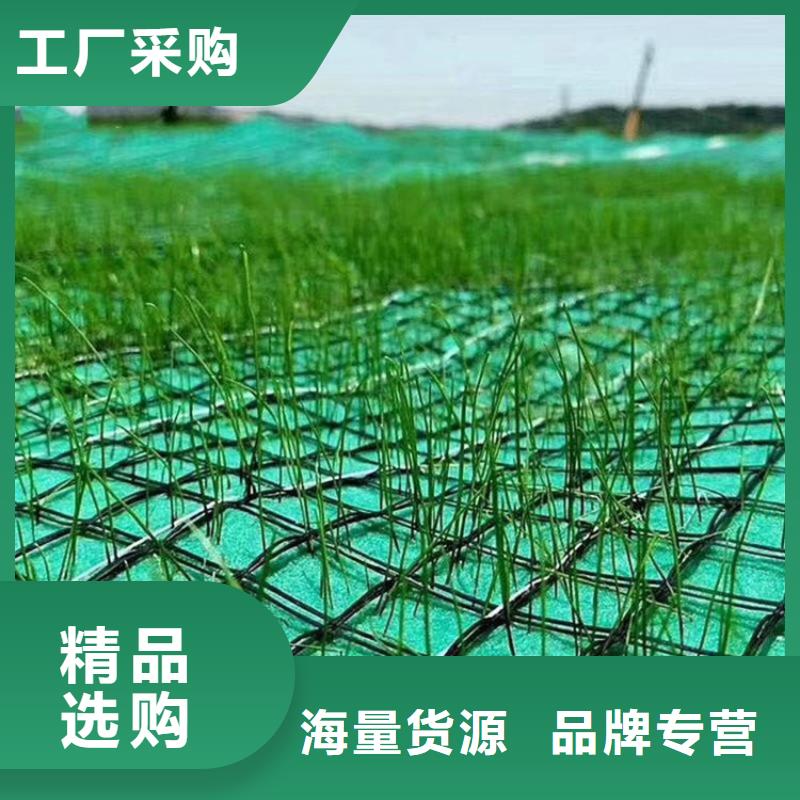 台州采购加筋抗冲生物毯-椰丝植生毯