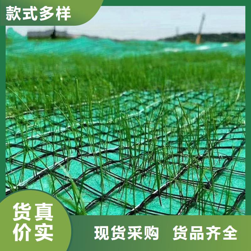 常年出售(鼎诺)护坡植被植草毯-加筋生态毯