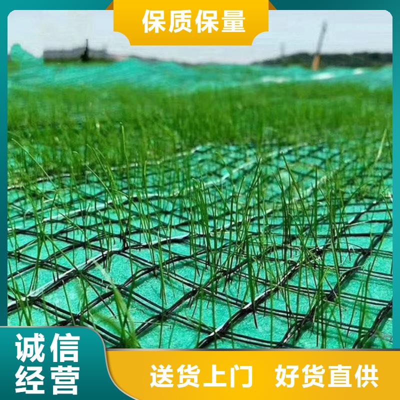(雅安) 【鼎诺】椰纤植生毯 加筋抗冲生物毯_资讯中心