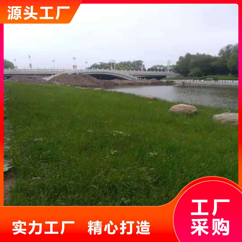 (天津)【当地】鼎诺生态环保草毯_产品案例
