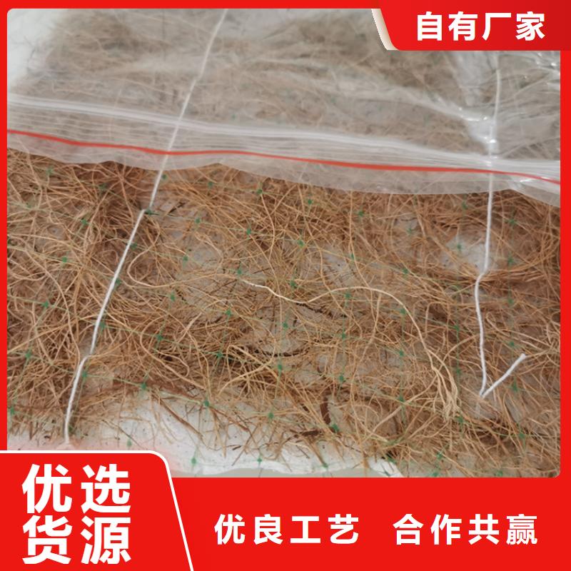 香港购买植生椰丝毯护坡植被植草毯