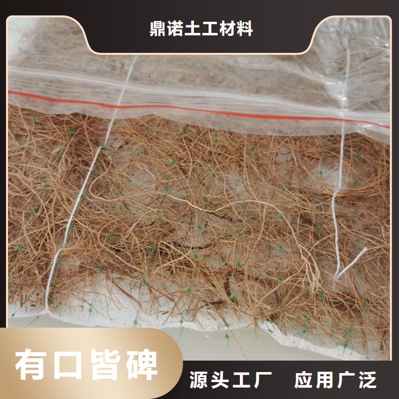 昌江县植物生态防护毯加筋抗冲生态毯经销商