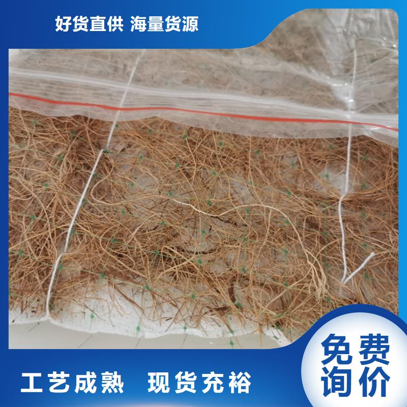 (玉溪) 【鼎诺】植物生态防护毯-抗冲椰丝毯_玉溪产品案例