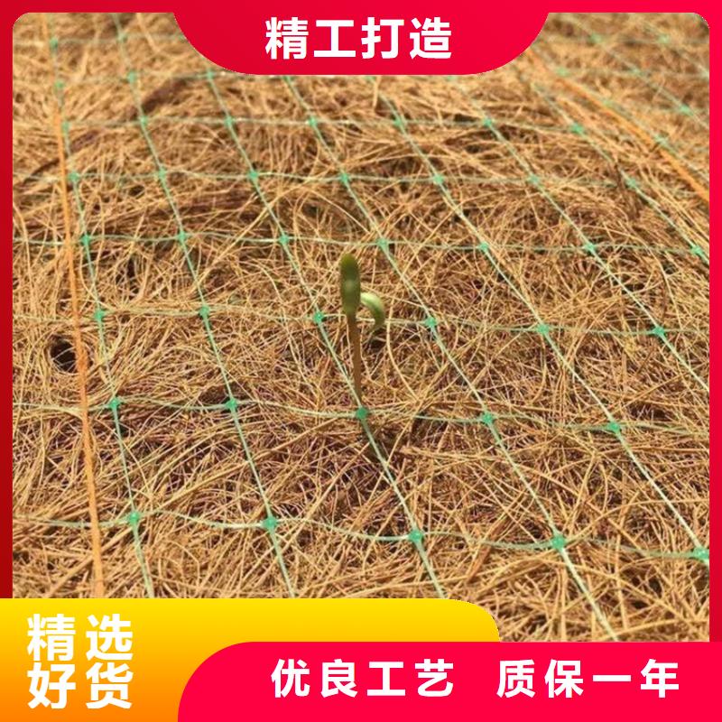 <安庆>(当地){鼎诺}植物生态防护毯_产品案例